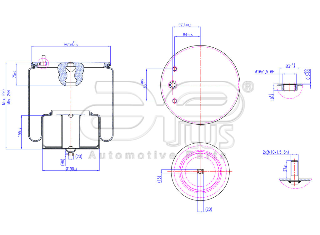91512AP Conjunto pulmon