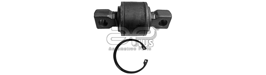 21789AP Kit de reparacion