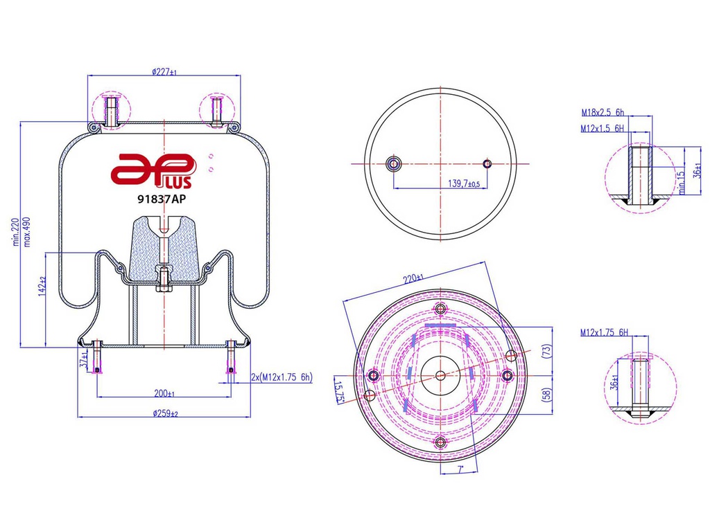 91837AP Conjunto pulmon