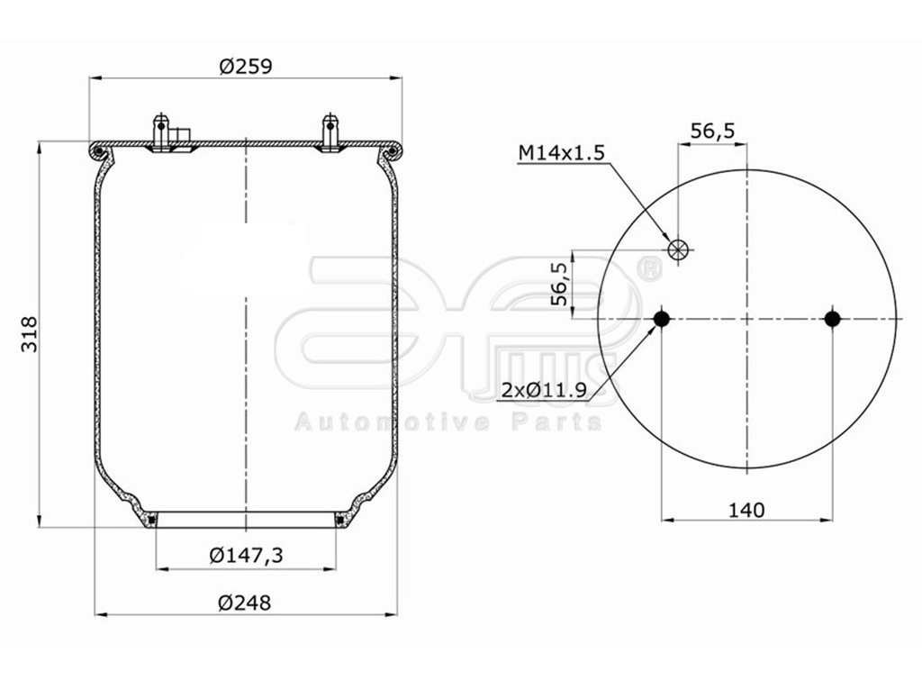 91224AP Kit pulmon