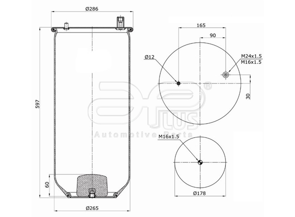 91309AP Kit pulmon