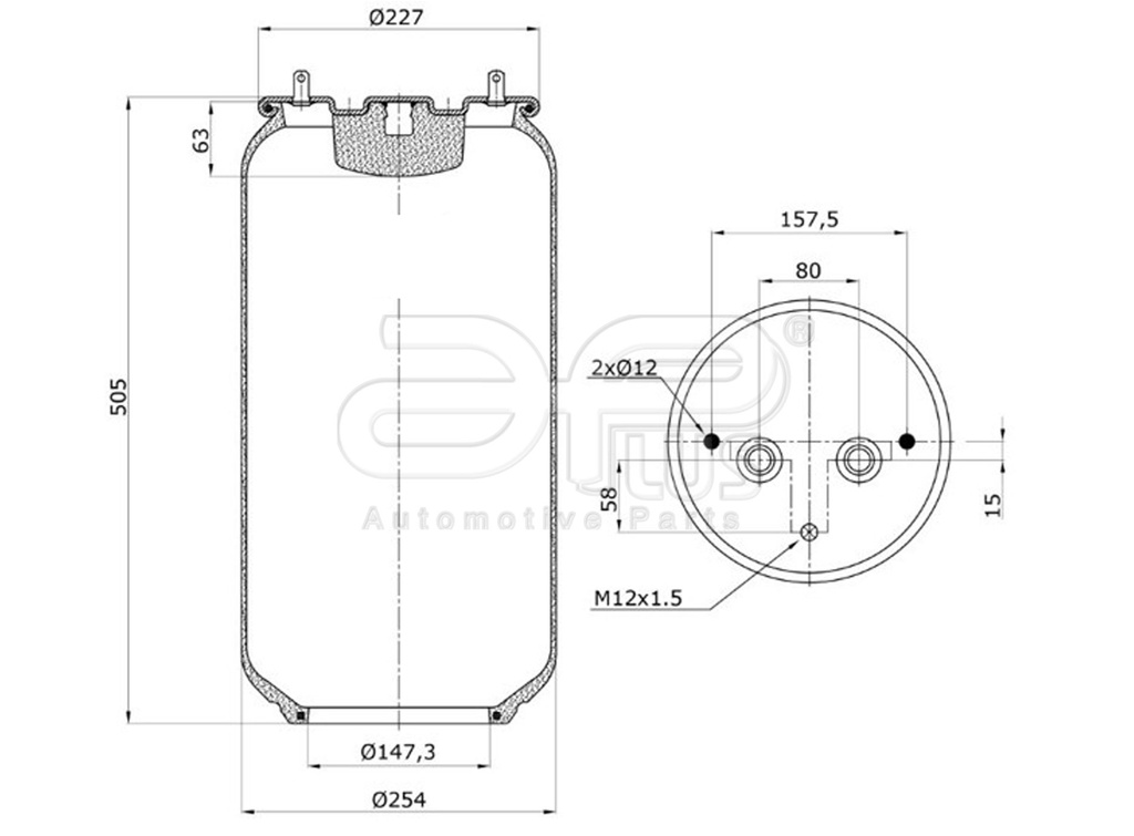 91343AP Kit pulmon