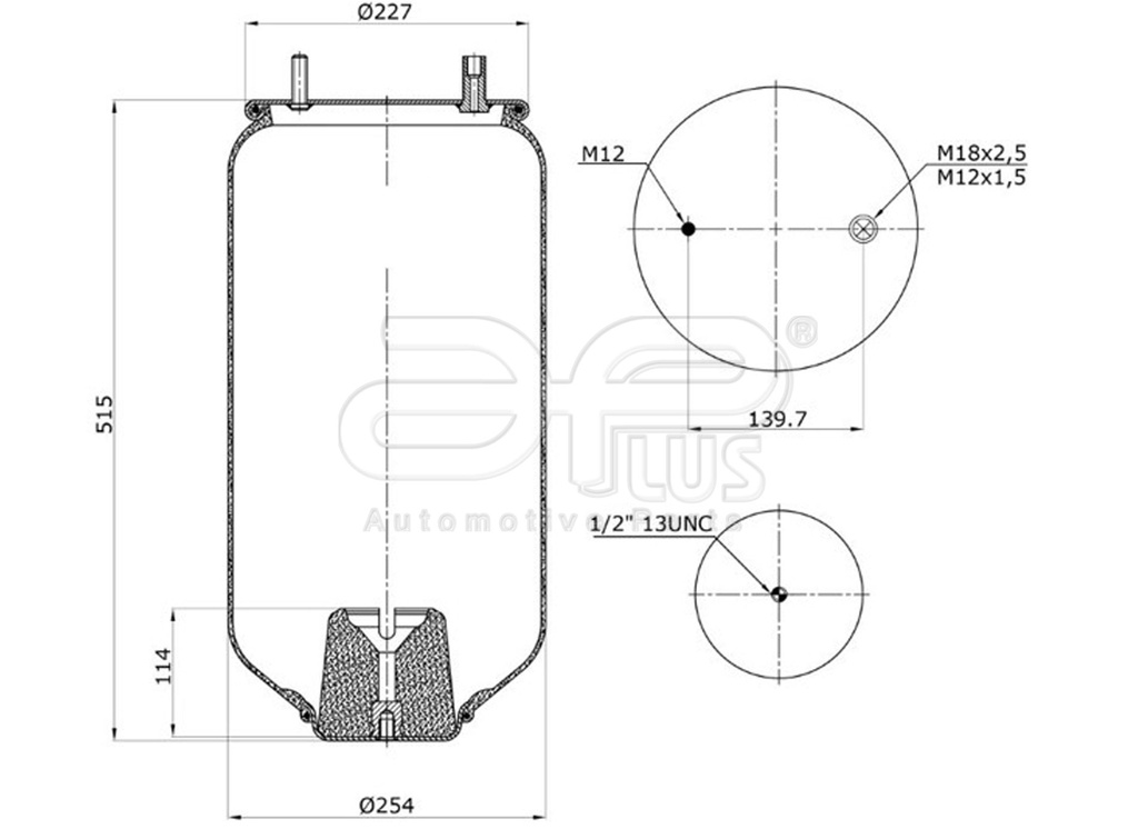91895AP Kit pulmon