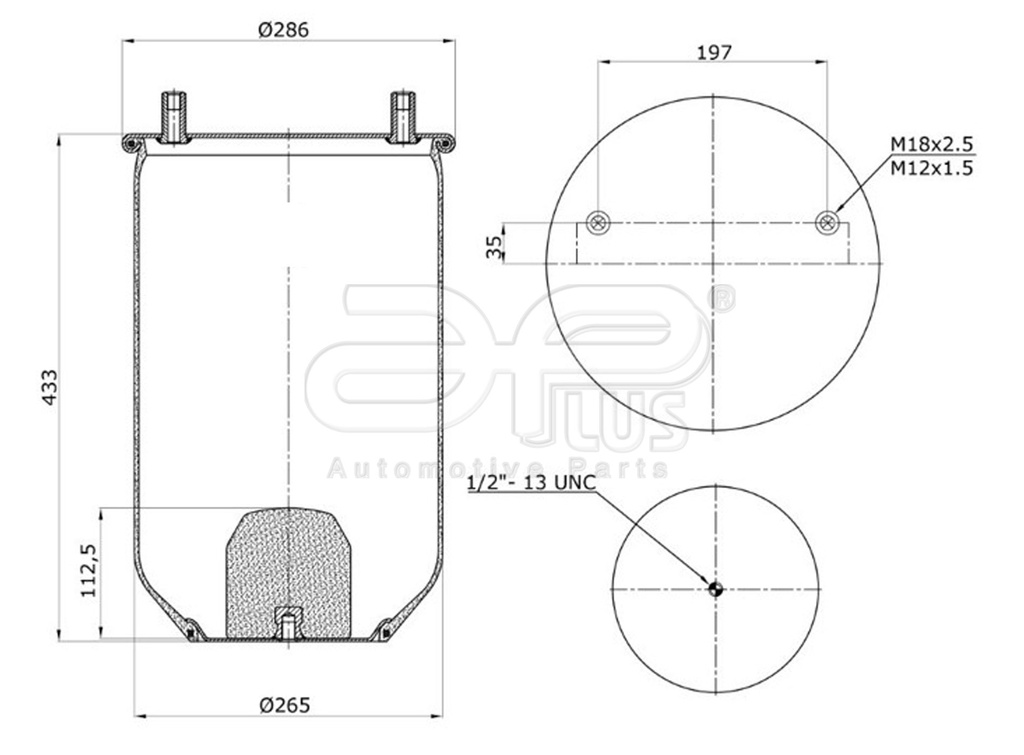 91914AP Kit pulmon