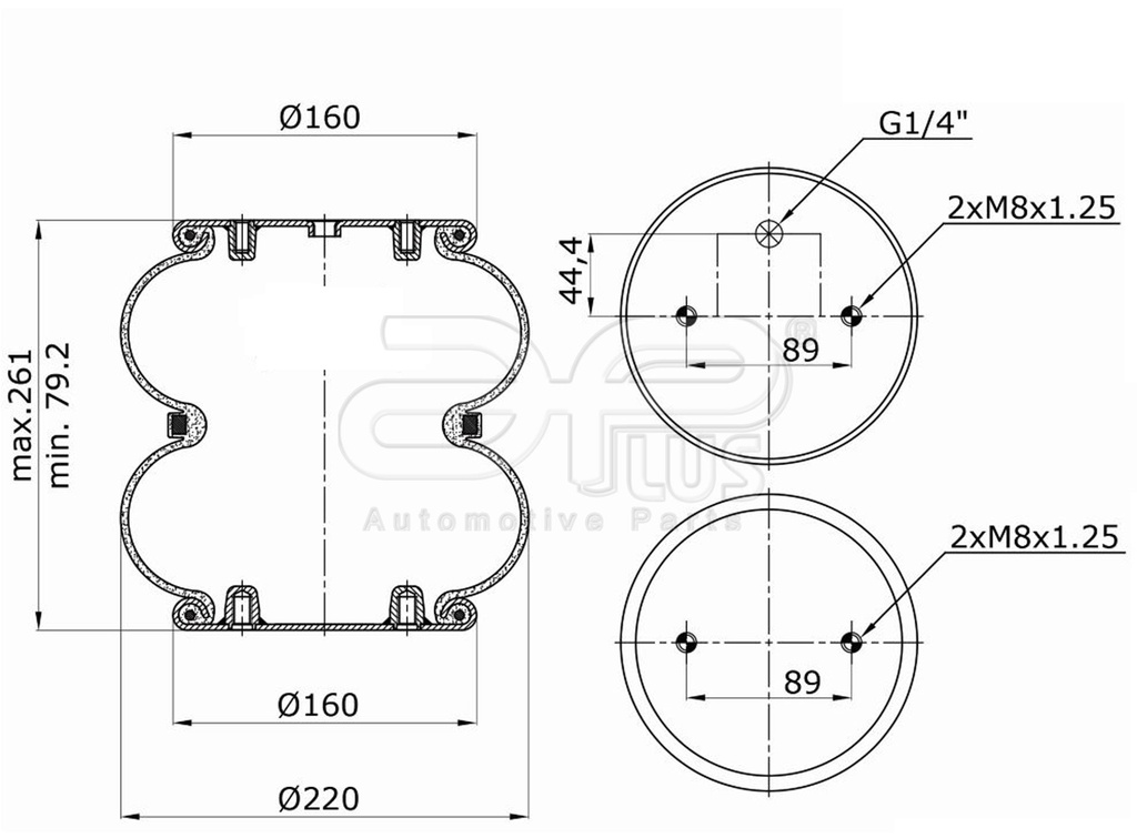 92015CCAP Conjunto pulmon bilobular