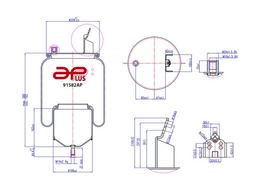 [91582AP] 91582AP Conjunto pulmon