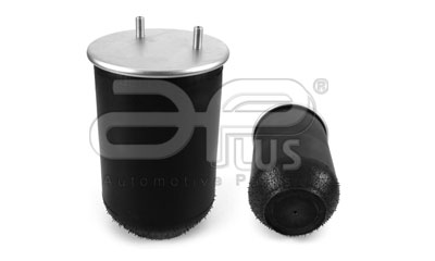 [91828AP] 91828AP Kit pulmon