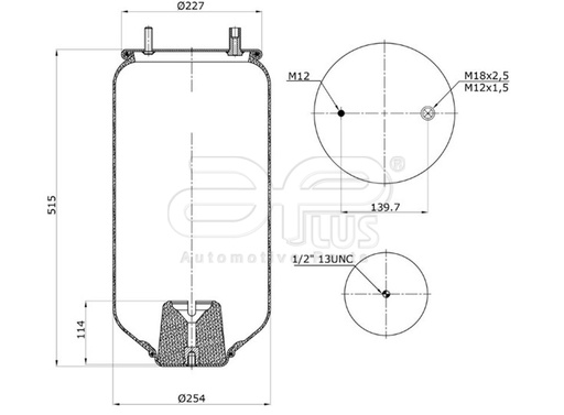 [91895AP] 91895AP Kit pulmon