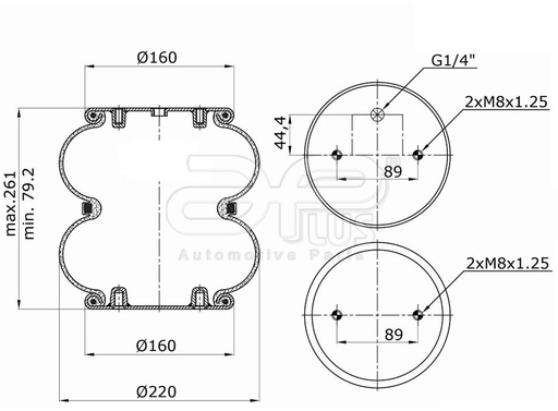[92015CCAP] 92015CCAP Conjunto pulmon bilobular